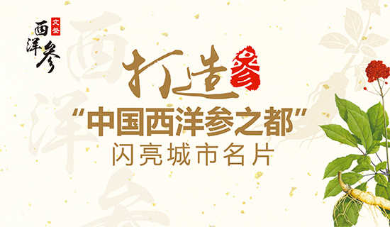 文登西洋參產(chǎn)業(yè)：打造“中國(guó)西洋參之都”閃亮城市名片！
